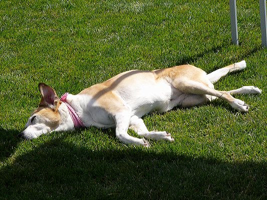 p1010948.jpg