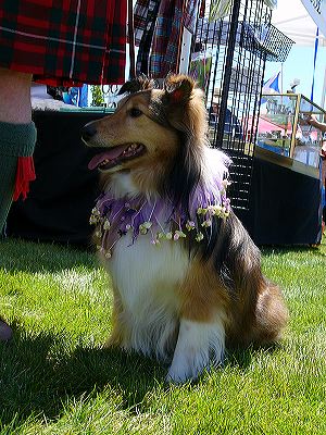 p1020109.jpg
